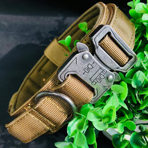 Adjustable dog collar