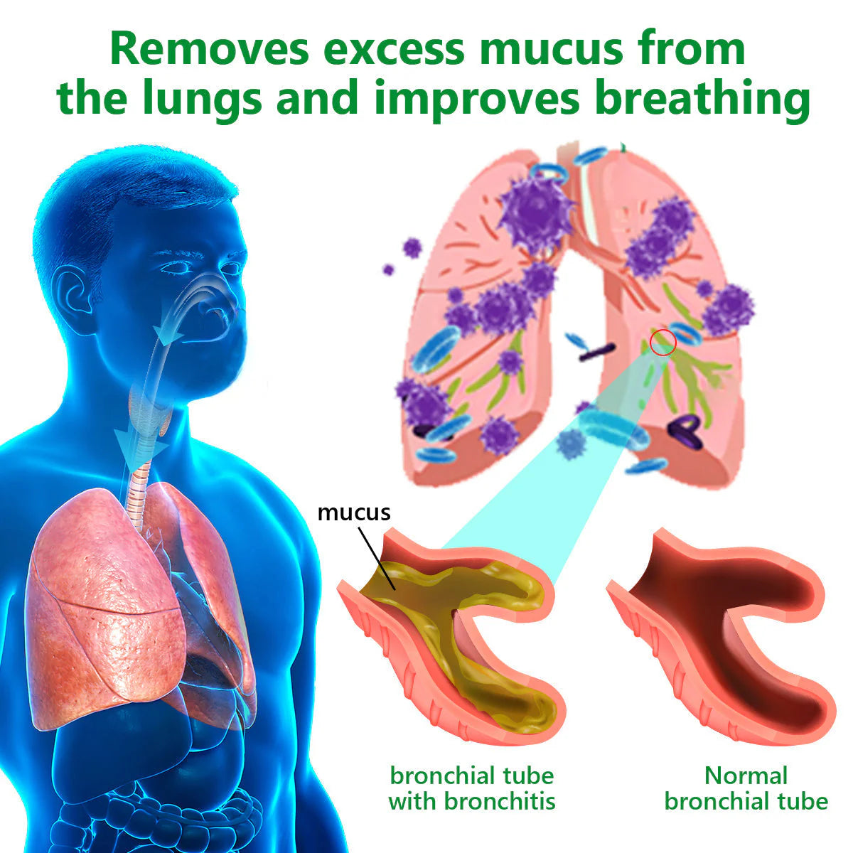Lercea™ Mullein Lung Cleansing and Restoring Cream