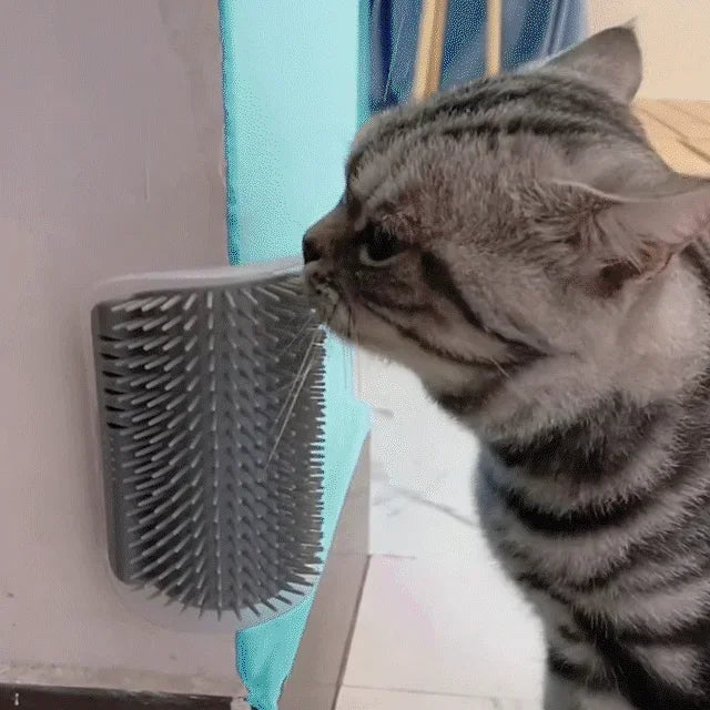 Cat Self Grooming Massage Toy Brush